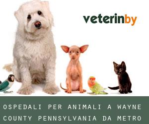 ospedali per animali a Wayne County Pennsylvania da metro - pagina 3