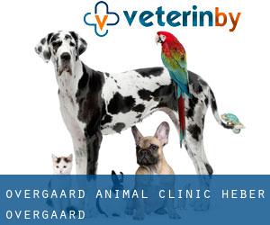 Overgaard Animal Clinic (Heber-Overgaard)