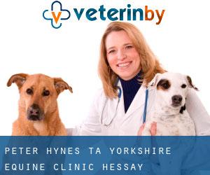 Peter Hynes t/a Yorkshire Equine Clinic (Hessay)