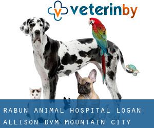 Rabun Animal Hospital: Logan Allison DVM (Mountain City)