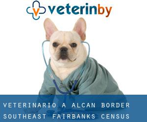 veterinario a Alcan Border (Southeast Fairbanks Census Area, Alaska)