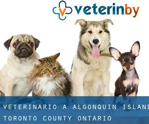 veterinario a Algonquin Island (Toronto county, Ontario)
