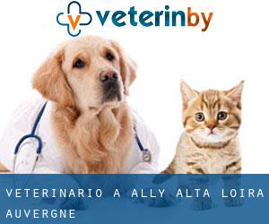 veterinario a Ally (Alta Loira, Auvergne)