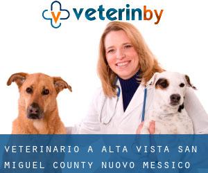 veterinario a Alta Vista (San Miguel County, Nuovo Messico)