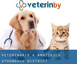 veterinario a aMatikulu (uThungulu District Municipality, KwaZulu-Natal)