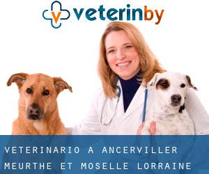 veterinario a Ancerviller (Meurthe et Moselle, Lorraine)
