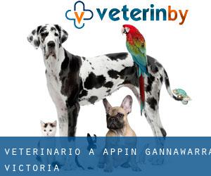 veterinario a Appin (Gannawarra, Victoria)