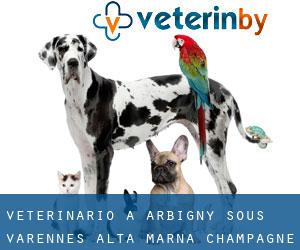 veterinario a Arbigny-sous-Varennes (Alta Marna, Champagne-Ardenne)
