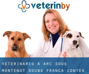 veterinario a Arc-sous-Montenot (Doubs, Franca Contea)