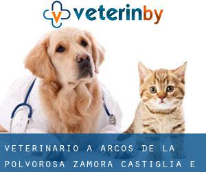 veterinario a Arcos de la Polvorosa (Zamora, Castiglia e León)