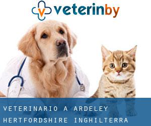 veterinario a Ardeley (Hertfordshire, Inghilterra)