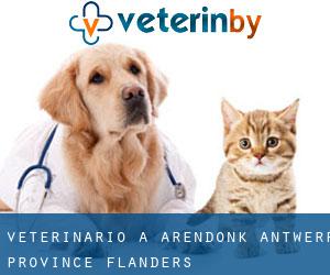 veterinario a Arendonk (Antwerp Province, Flanders)