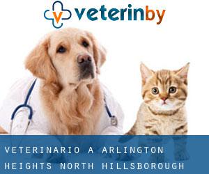 veterinario a Arlington Heights North (Hillsborough County, Florida)
