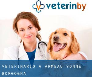 veterinario a Armeau (Yonne, Borgogna)