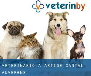 veterinario a Artige (Cantal, Auvergne)