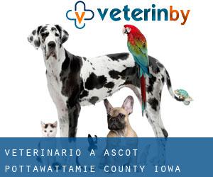 veterinario a Ascot (Pottawattamie County, Iowa)