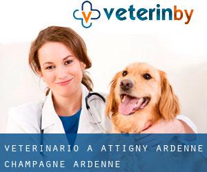 veterinario a Attigny (Ardenne, Champagne-Ardenne)