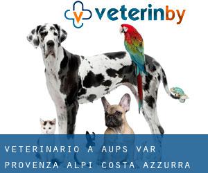 veterinario a Aups (Var, Provenza-Alpi-Costa Azzurra)