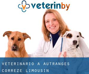 veterinario a Autranges (Corrèze, Limousin)