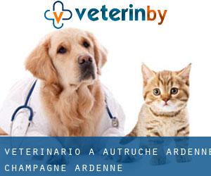 veterinario a Autruche (Ardenne, Champagne-Ardenne)