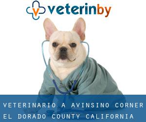 veterinario a Avinsino Corner (El Dorado County, California)