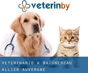 veterinario a Baignereau (Allier, Auvergne)