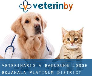 veterinario a Bakubung Lodge (Bojanala Platinum District Municipality, North-West)
