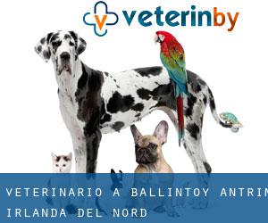 veterinario a Ballintoy (Antrim, Irlanda del Nord)