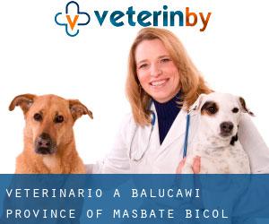 veterinario a Balucawi (Province of Masbate, Bicol)