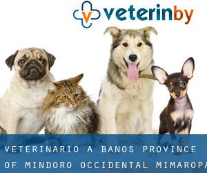 veterinario a Banos (Province of Mindoro Occidental, Mimaropa)