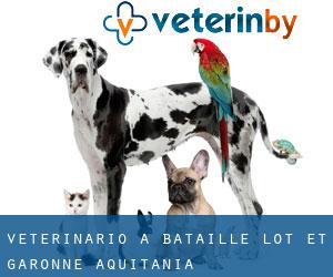 veterinario a Bataillé (Lot-et-Garonne, Aquitania)