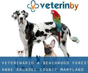 veterinario a Beachwood Forest (Anne Arundel County, Maryland)
