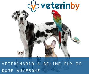 veterinario a Bélime (Puy-de-Dôme, Auvergne)