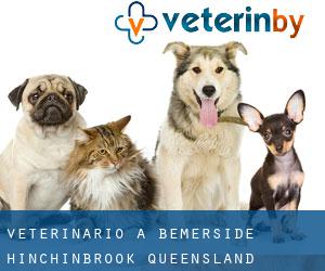 veterinario a Bemerside (Hinchinbrook, Queensland)