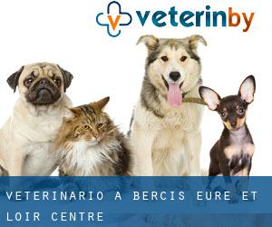 veterinario a Bercis (Eure-et-Loir, Centre)