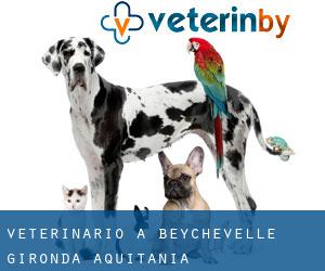 veterinario a Beychevelle (Gironda, Aquitania)