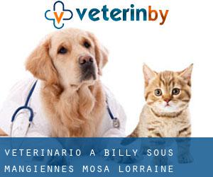 veterinario a Billy-sous-Mangiennes (Mosa, Lorraine)