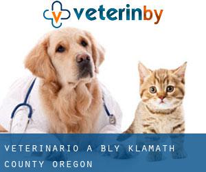 veterinario a Bly (Klamath County, Oregon)