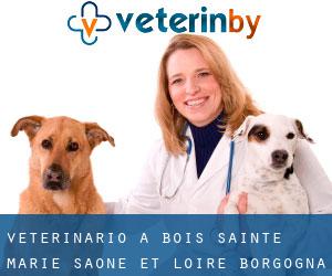 veterinario a Bois-Sainte-Marie (Saône-et-Loire, Borgogna)