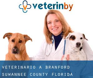 veterinario a Branford (Suwannee County, Florida)