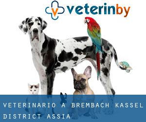 veterinario a Brembach (Kassel District, Assia)