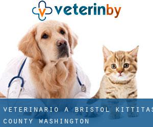 veterinario a Bristol (Kittitas County, Washington)
