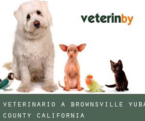 veterinario a Brownsville (Yuba County, California)