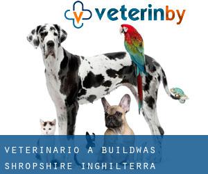 veterinario a Buildwas (Shropshire, Inghilterra)