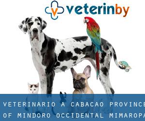 veterinario a Cabacao (Province of Mindoro Occidental, Mimaropa)