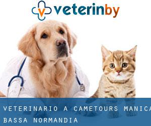 veterinario a Cametours (Manica, Bassa Normandia)