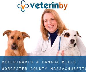 veterinario a Canada Mills (Worcester County, Massachusetts)