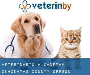 veterinario a Canemah (Clackamas County, Oregon)