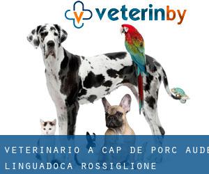 veterinario a Cap de Porc (Aude, Linguadoca-Rossiglione)