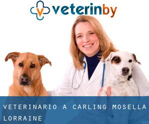 veterinario a Carling (Mosella, Lorraine)